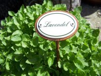 Kräuternamenschild Lavendel