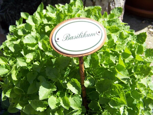 Kräuternamenschild Basilikum