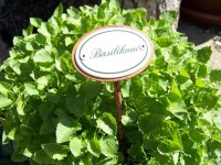 Kräuternamenschild Basilikum
