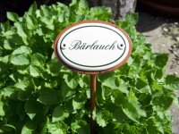 Kräuternamenschild Bärlauch