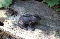 Gartenfigur Frosch Gusseisen