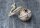 Deko Schelle Glocke Rost