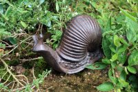 Gartenfigur Schnecke mit Haus