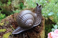 Gartenfigur Schnecke mit Haus