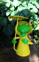 Zaunhocker Frosch mit Regenschirm